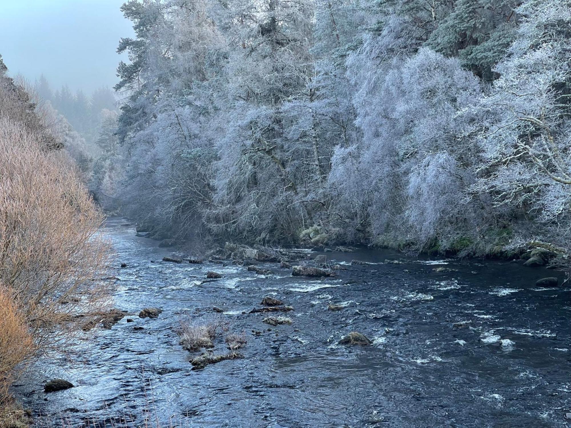 Coppice Cottage Grantown-on-Spey Екстер'єр фото