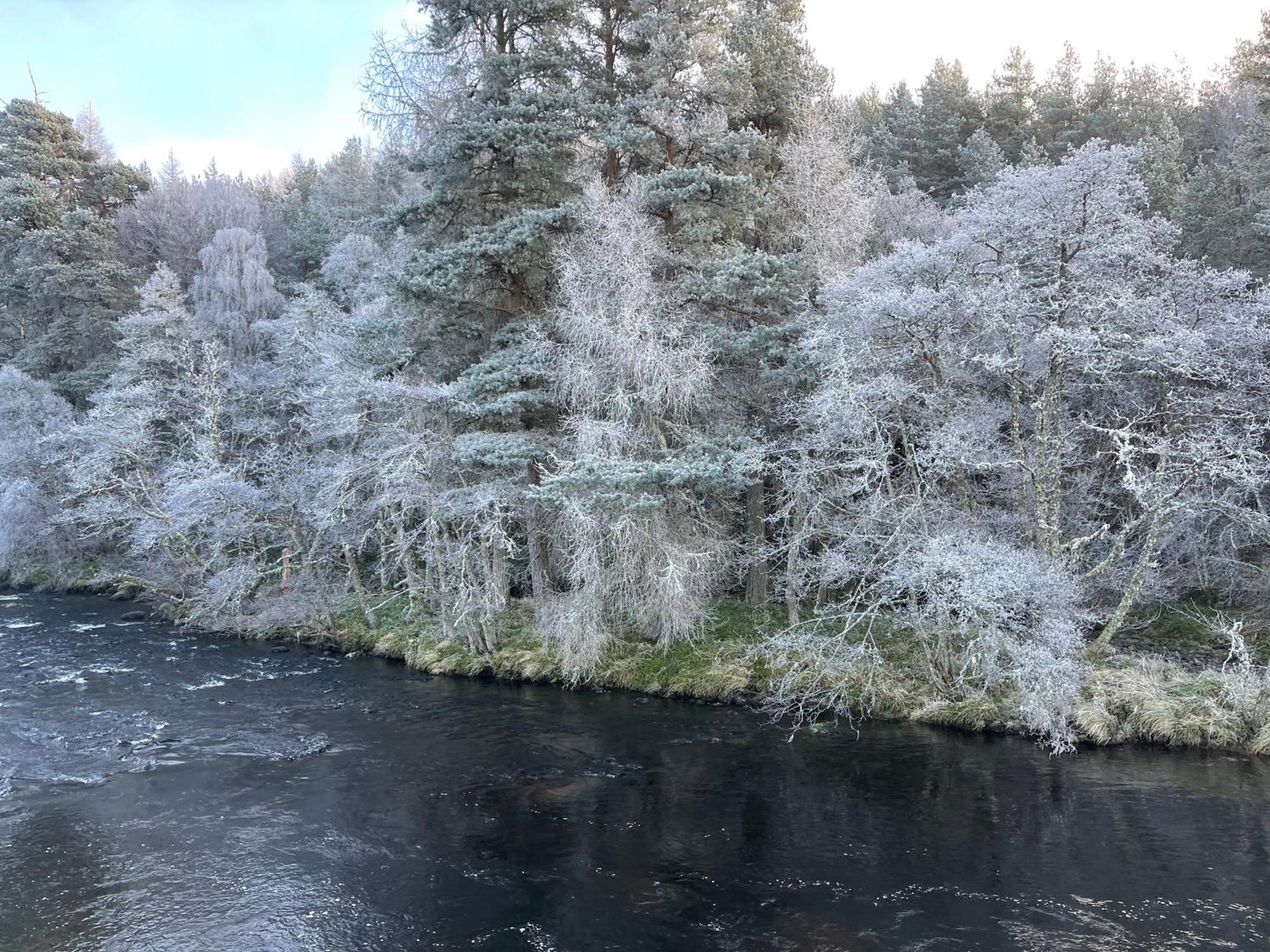 Coppice Cottage Grantown-on-Spey Екстер'єр фото