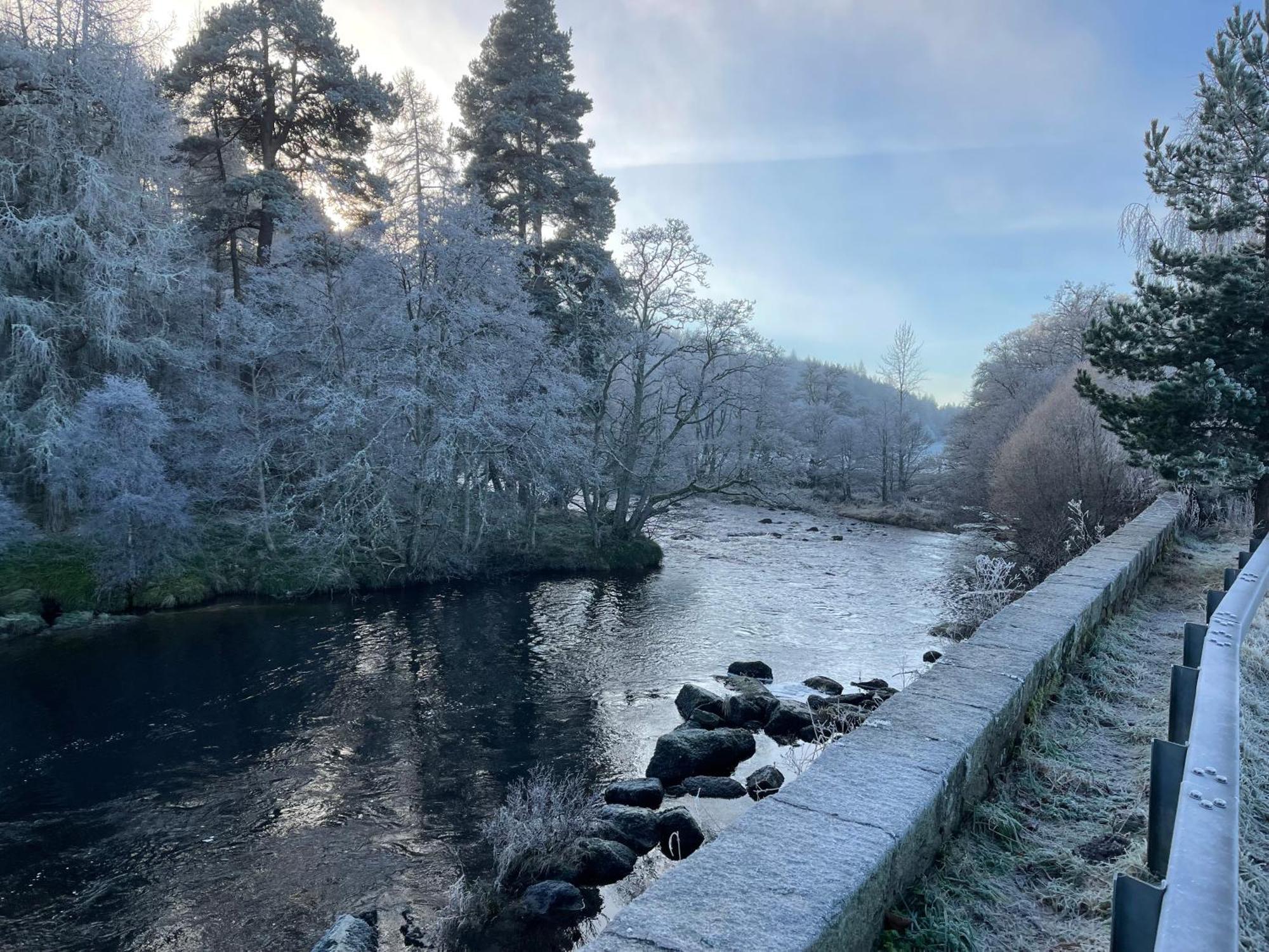 Coppice Cottage Grantown-on-Spey Екстер'єр фото