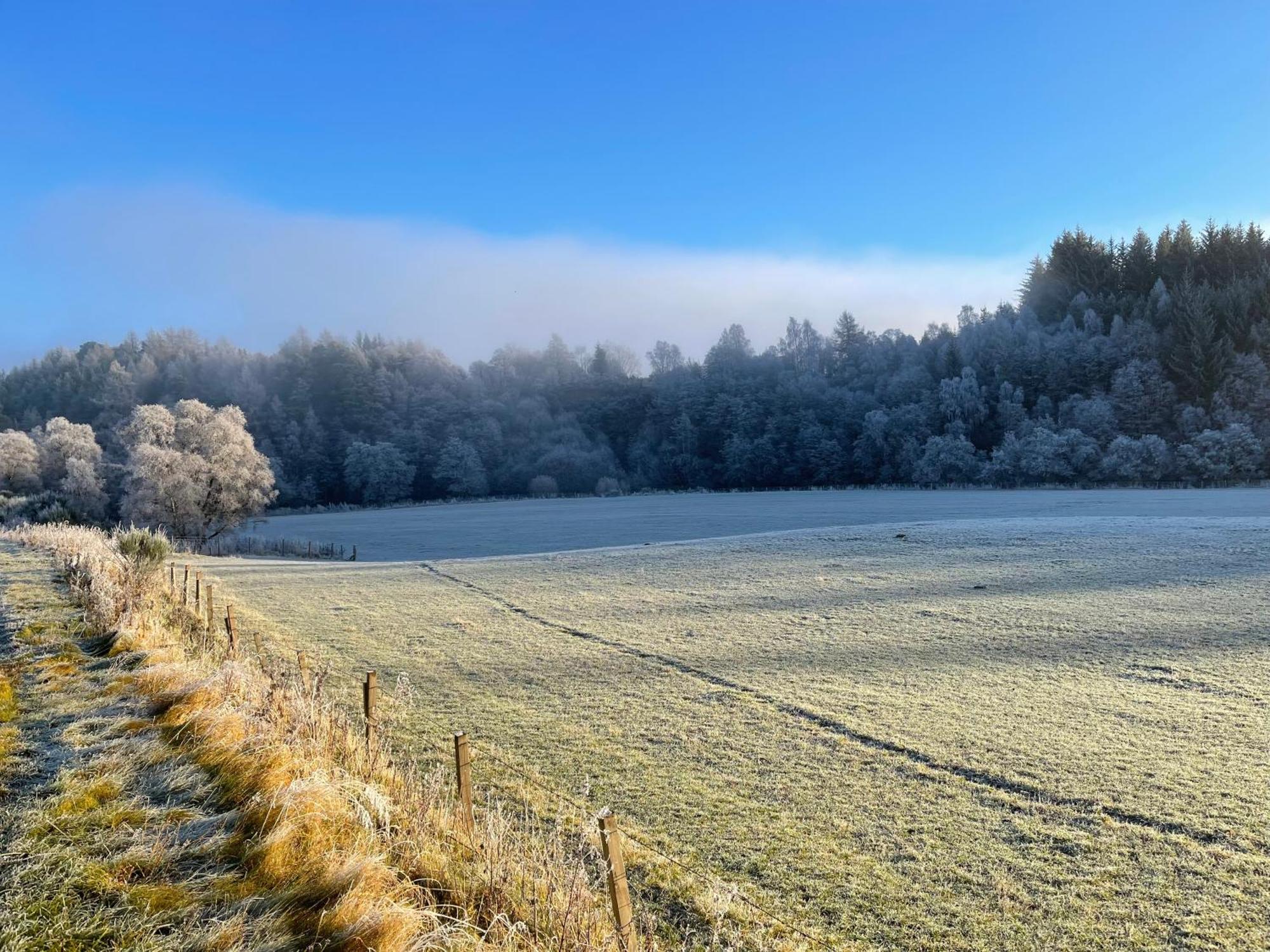 Coppice Cottage Grantown-on-Spey Екстер'єр фото