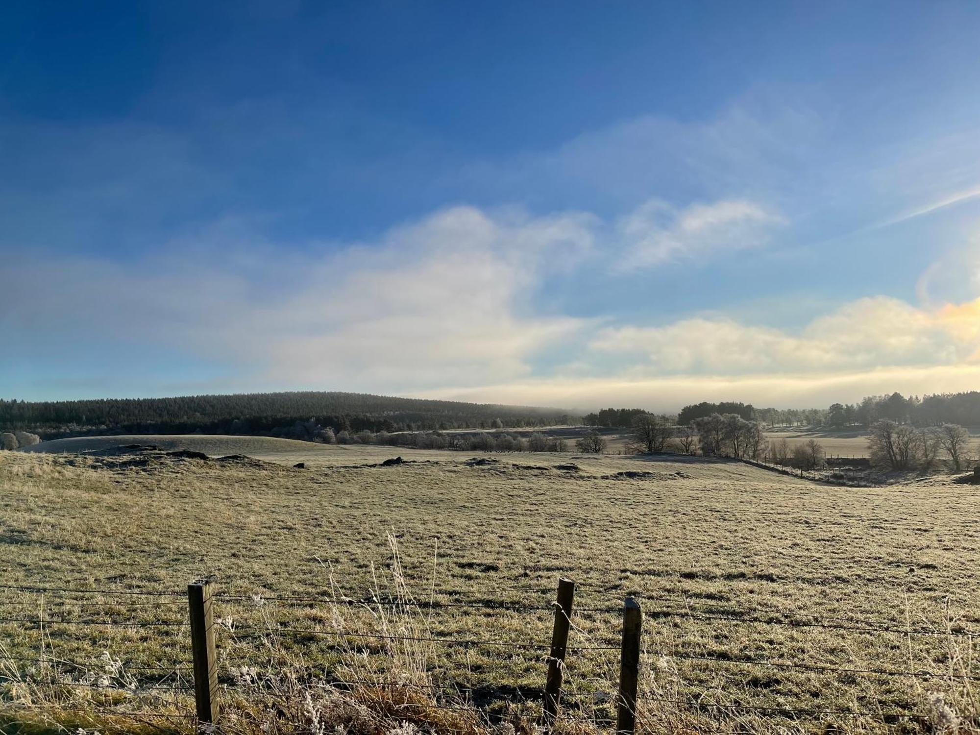 Coppice Cottage Grantown-on-Spey Екстер'єр фото