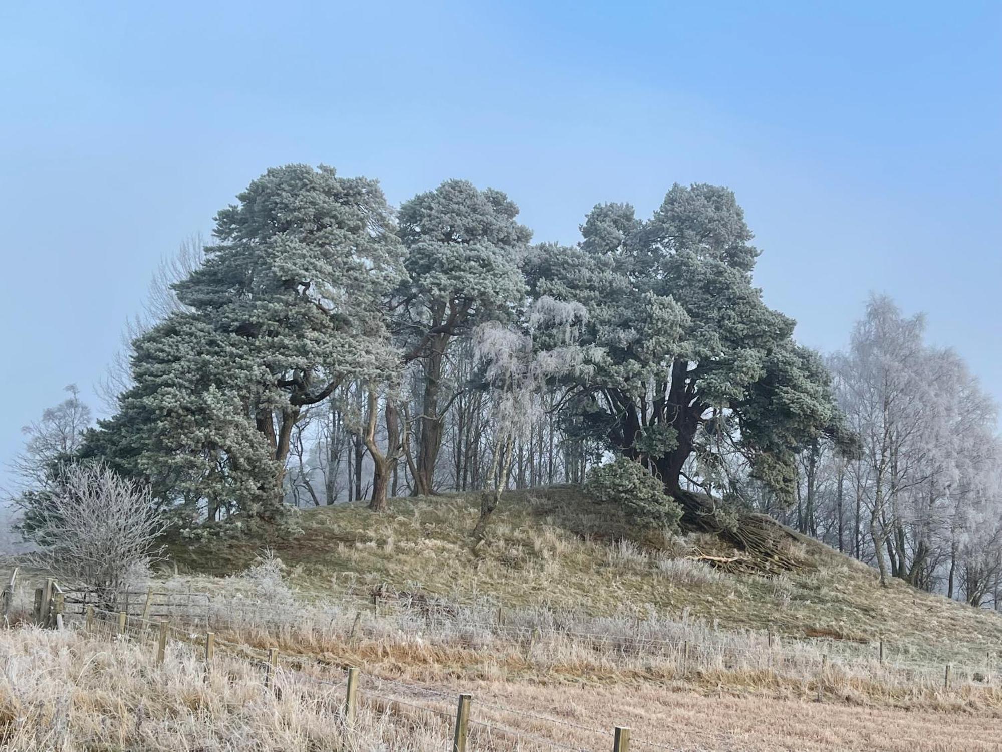 Coppice Cottage Grantown-on-Spey Екстер'єр фото